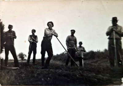 d29.jpg